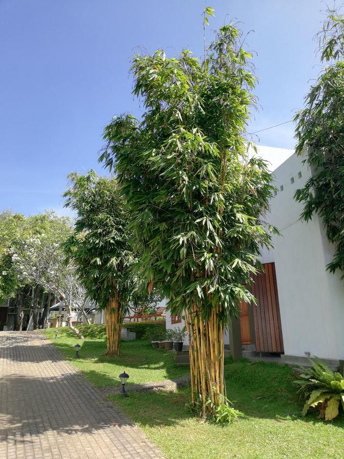 Вилла Oak Residencies Кирибатгода Экстерьер фото